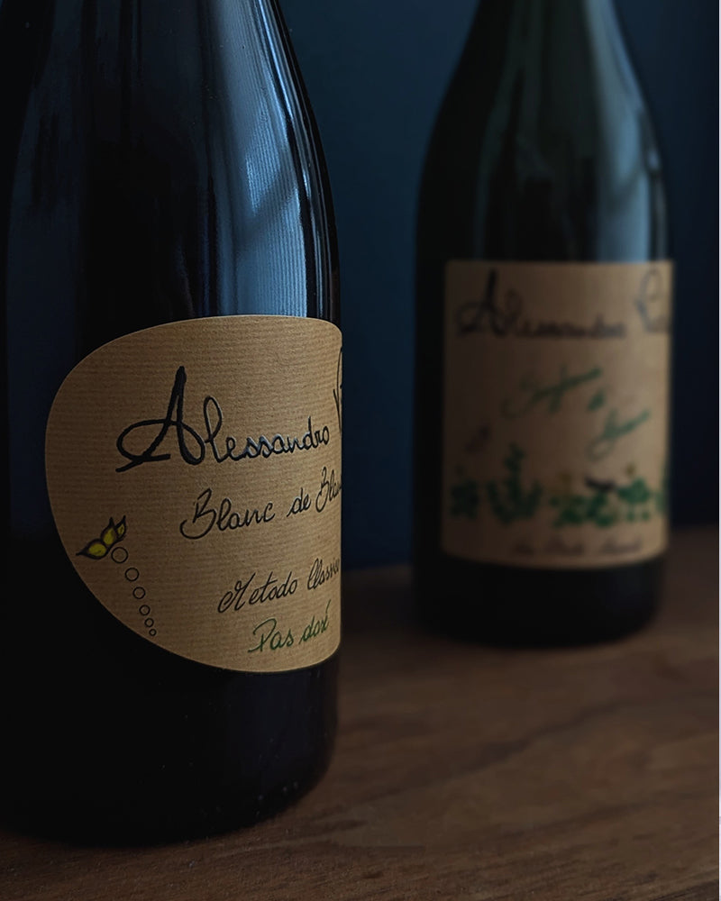 Alessandro Viola - Blanc de Blancs Pas dose 2021 / アレッサンドロ・ヴィオラ